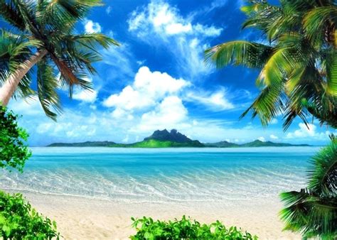AOFOTO 8x6ft Tropical Beach Photography Background Seaside Palm Tree Backdrop Clear Sea Blue Sky Holiday Trip Vacation Kid Adult Boy Girl Lover Portrait Photoshoot Studio Props Video Drape Wallpaper